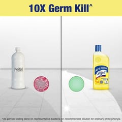 Lizol Citrus Disinfectant Surface Cleaner (500 ML)
