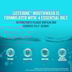 Listerine Cool Mint Mouthwash Liquid (250 ML)